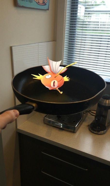 Pokemon GO