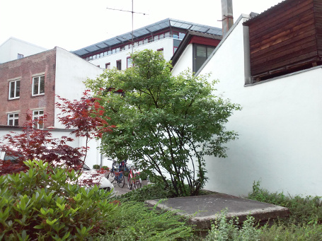 Foto LG L70