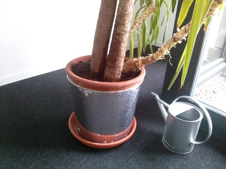Foto LG Optimus L7 2