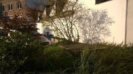Foto Nokia Lumia 530