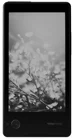 Yotaphone