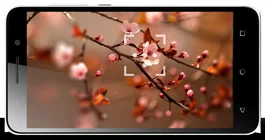 Honor 4X